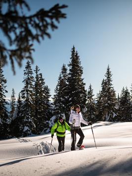 patrick-schwienbacher-rosskopf-winter-173